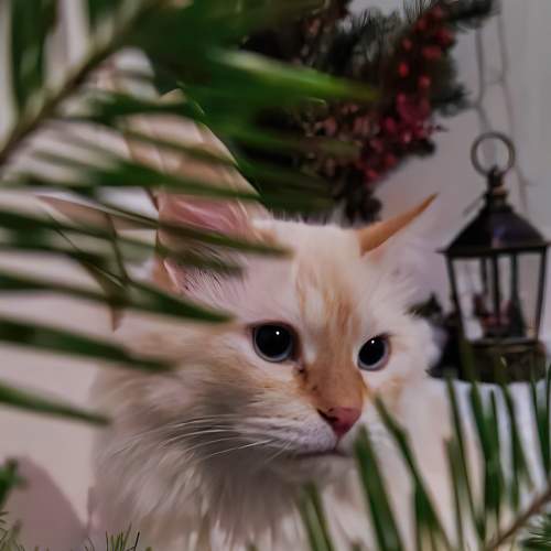 Photo #8980725