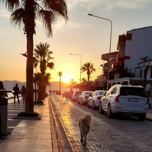 Photo #8981015