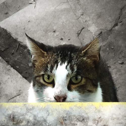 Photo #8981017