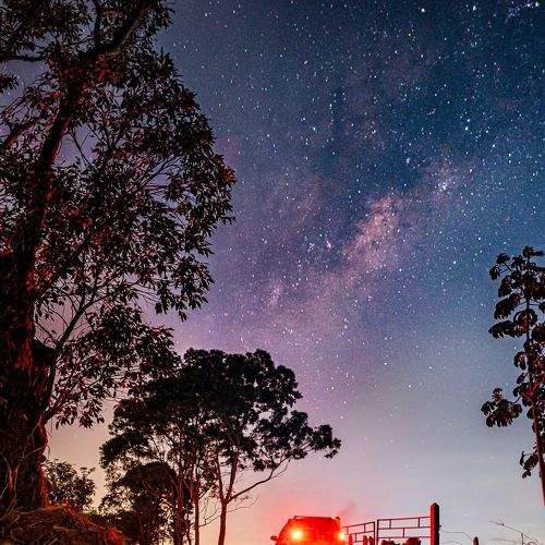 Photo #8981350