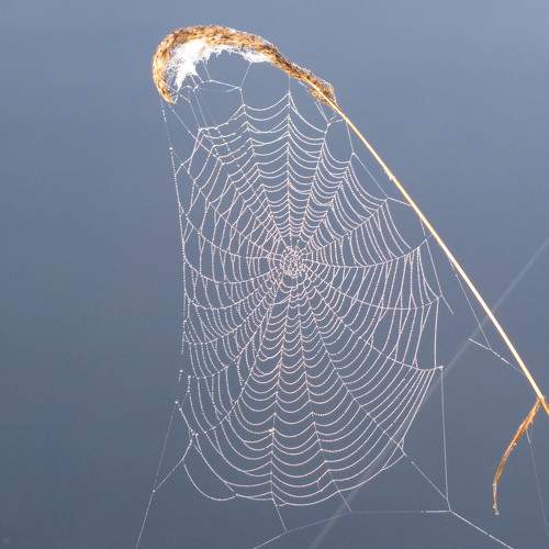Photo #8981403