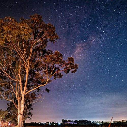 Photo #8981407