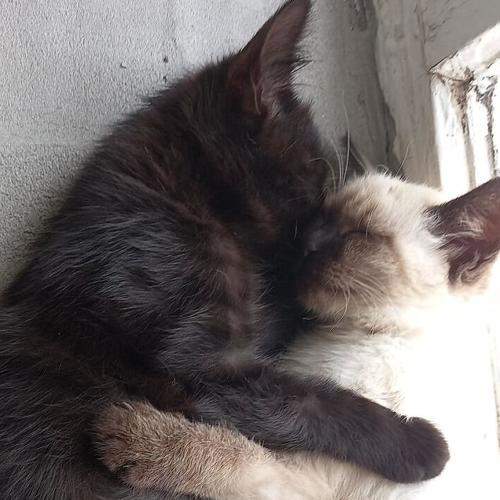 Photo #8981440