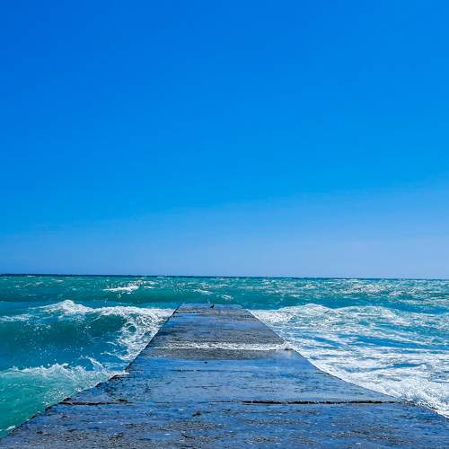 Photo #8981754