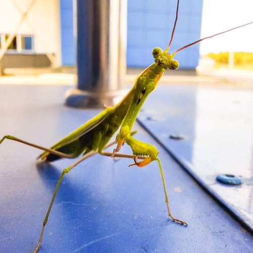 Photo #8981756