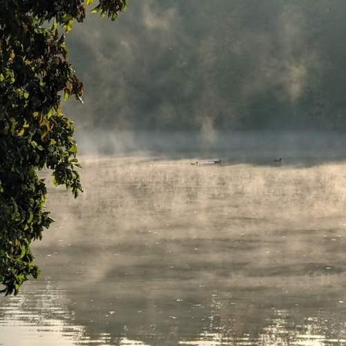 Photo #8981783