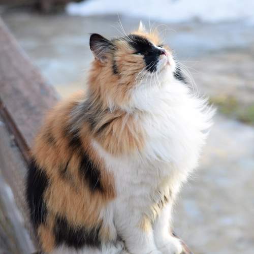 Photo #8981849