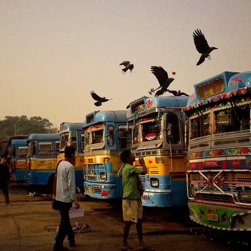Photo #8982000