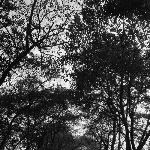 Photo #8982001