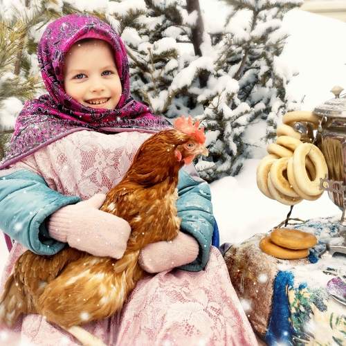 Photo #8982129