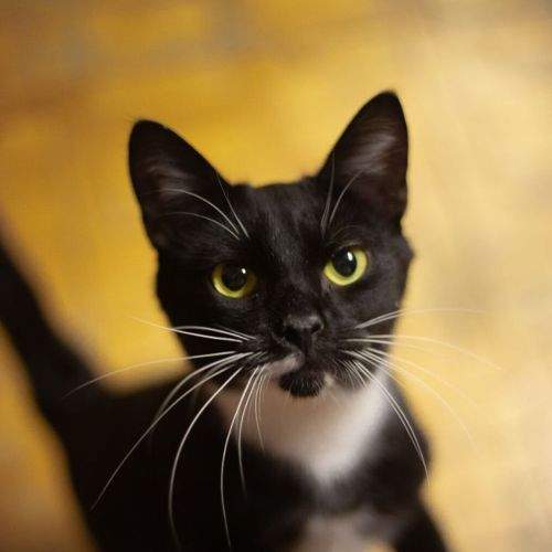 Photo #8982372