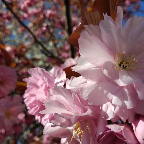 Photo #8982406