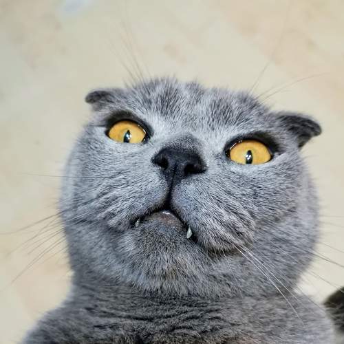 Photo #8982416
