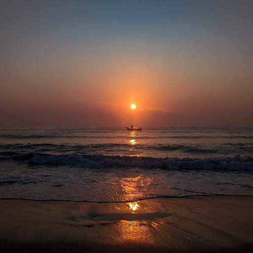 Photo #8982617