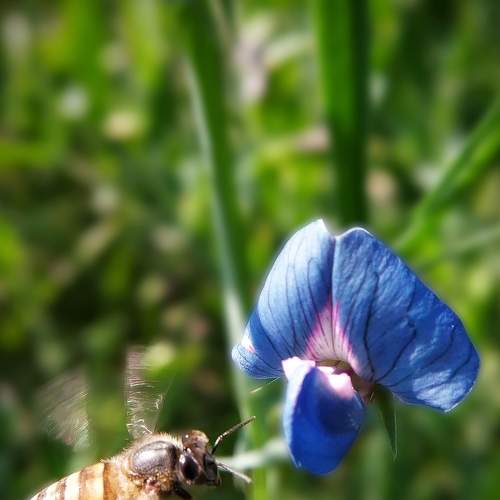 Photo #8983165