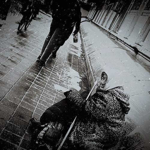 Photo #8983615