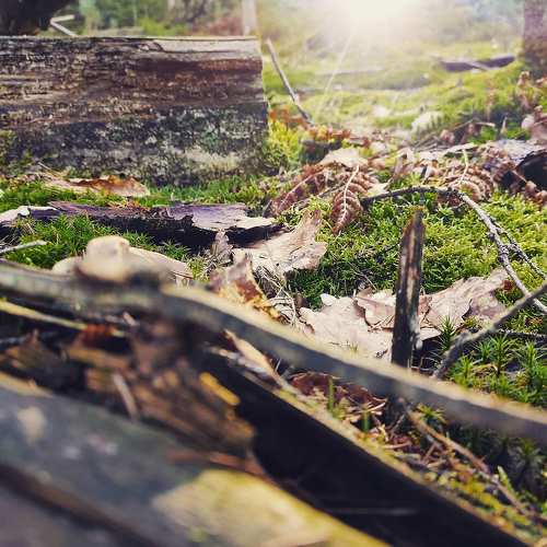 Photo #8984515