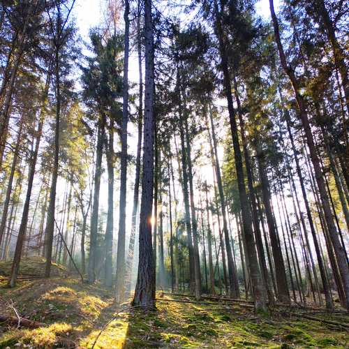 Photo #8984516