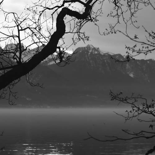 Photo #8984517