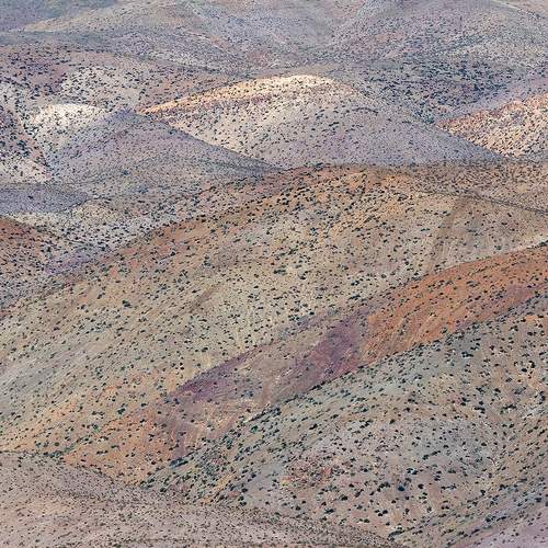 Photo #8984633
