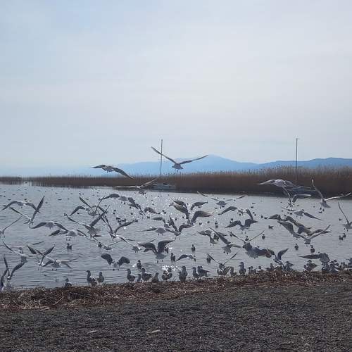 Photo #8984910