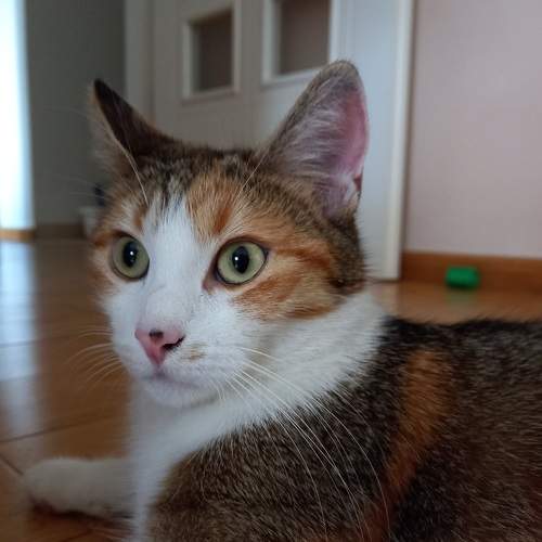 Camera loves her
