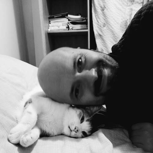 Photo #8984974