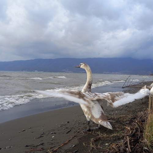 Photo #8985007