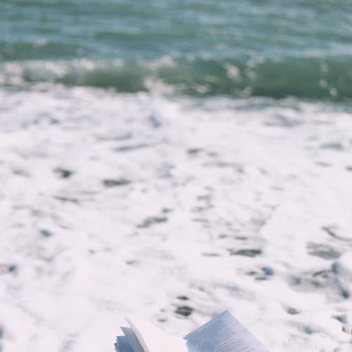 Photo #8985926