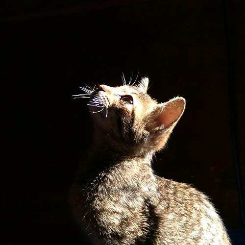 Photo #8986111