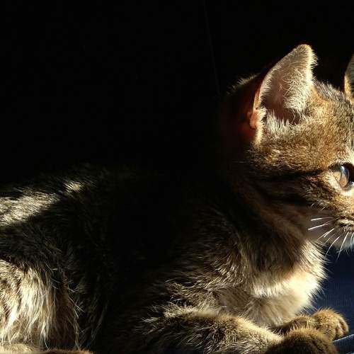 Photo #8986114