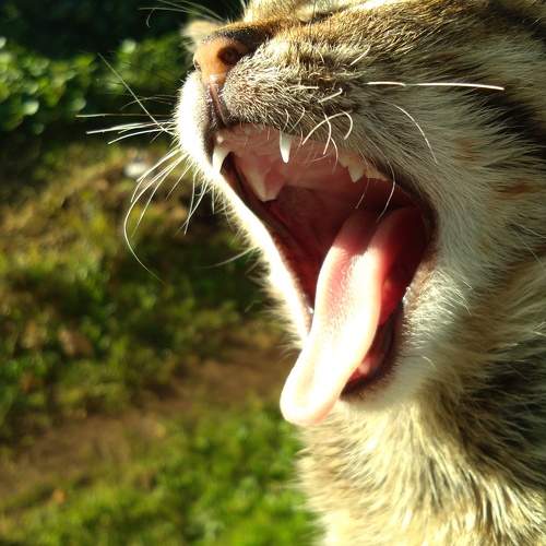 Photo #8986117
