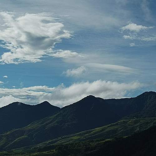 Photo #8986134