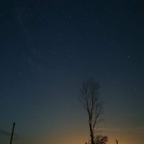 Photo #8986525
