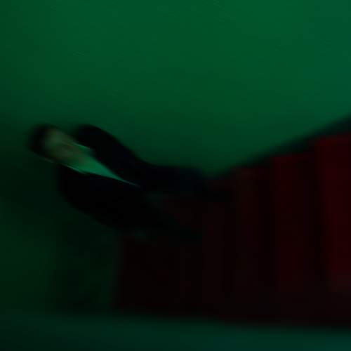 Photo #8986550