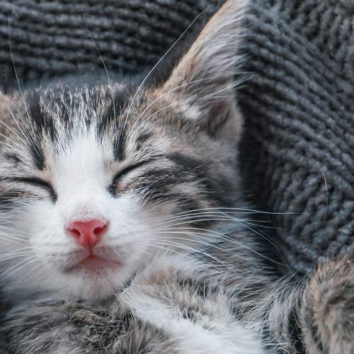 Photo #8986566