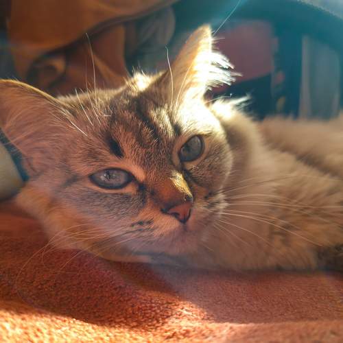 Photo #8986814
