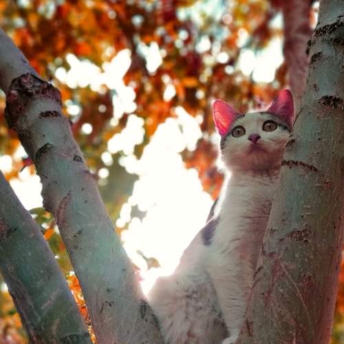 Photo #8986896