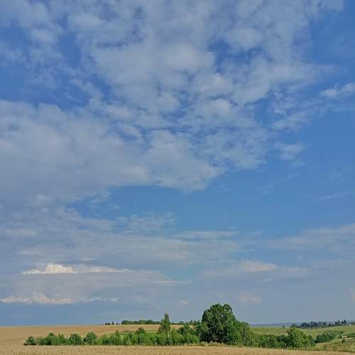 Photo #8986929
