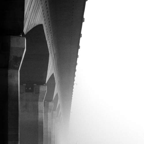 Photo #8987010