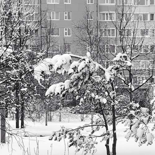 Photo #8987113