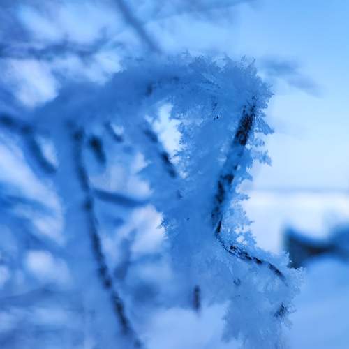 Photo #8987398