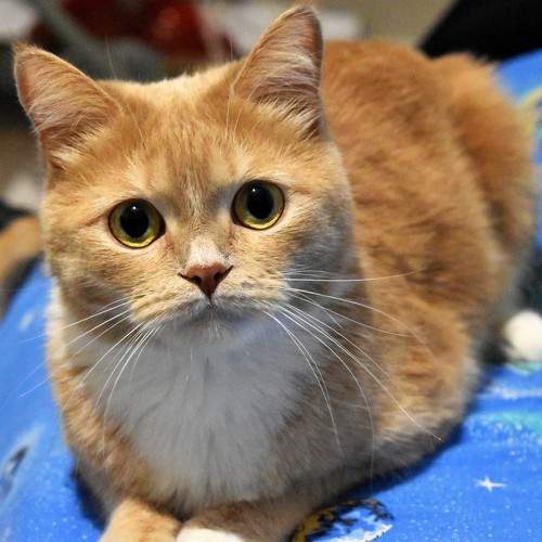 Photo #8987412