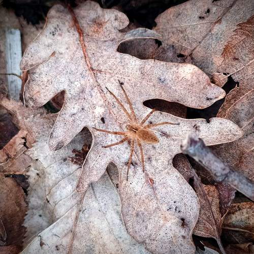 Photo #8987518