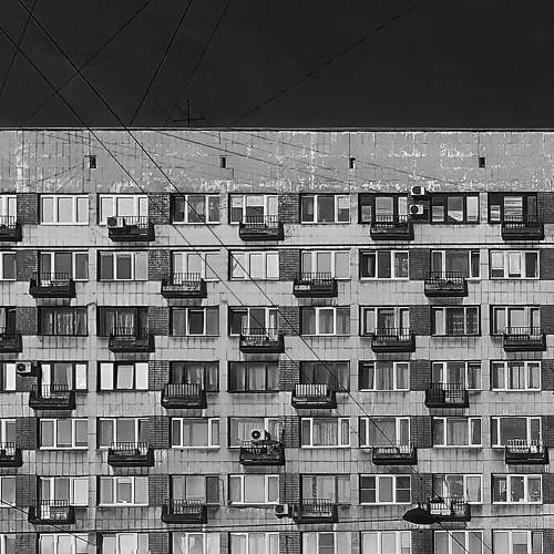 Photo #8987551