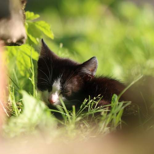 Photo #8987609