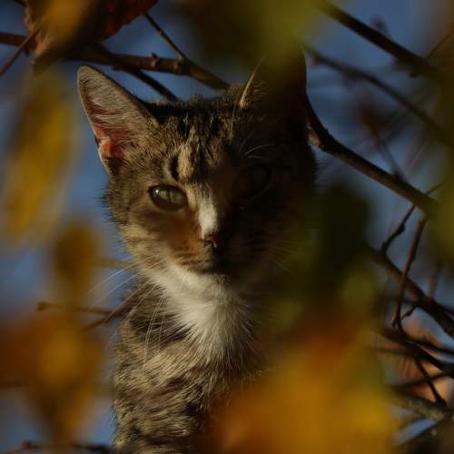 Photo #8987620