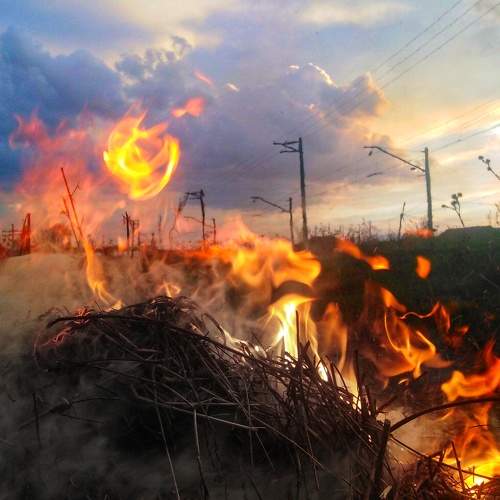 Photo #8988356
