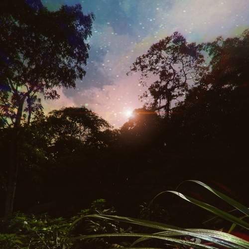 Photo #8988454