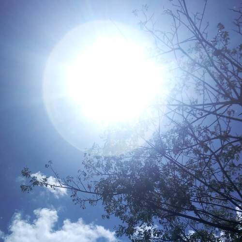 Photo #8988457